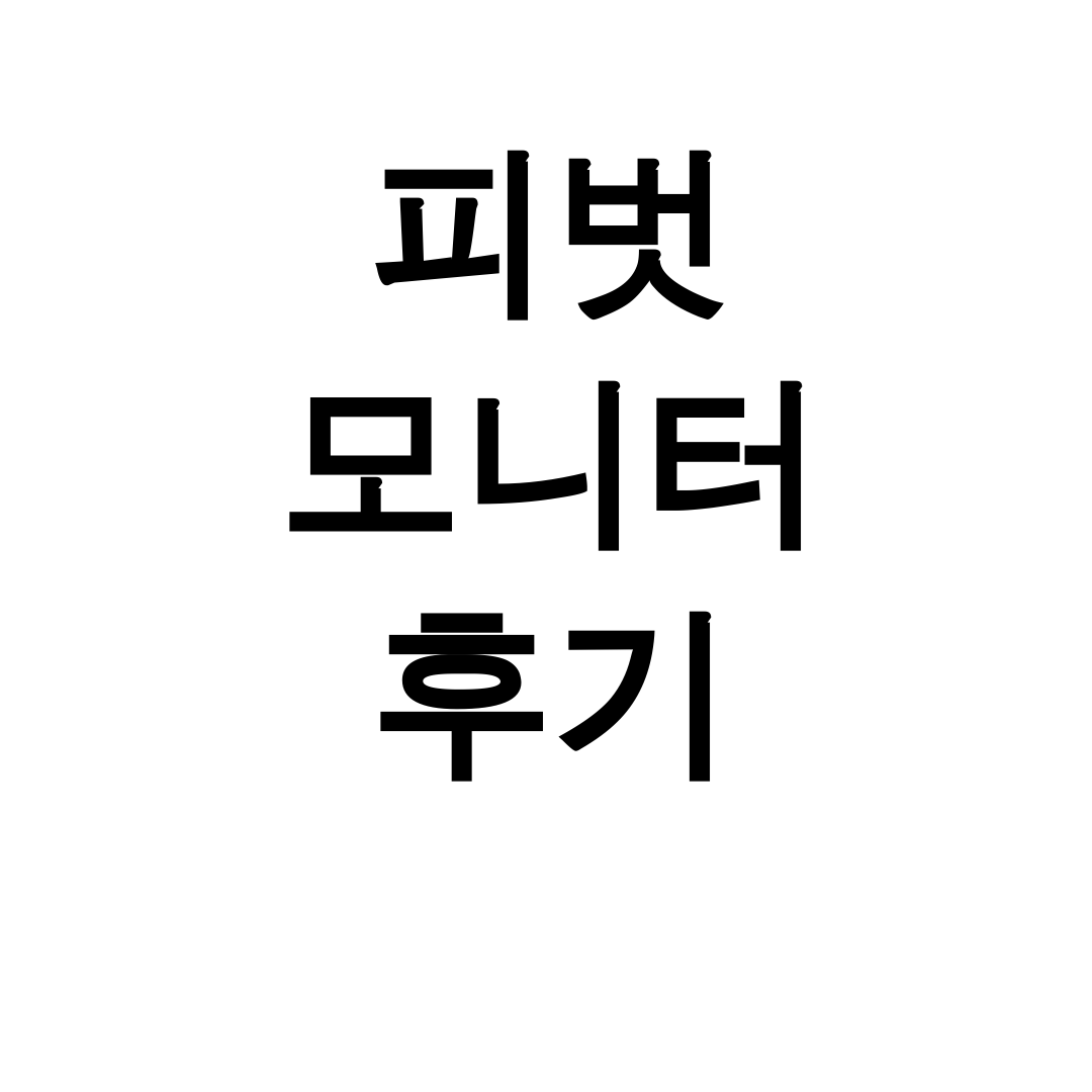 피벗 모니터 후기