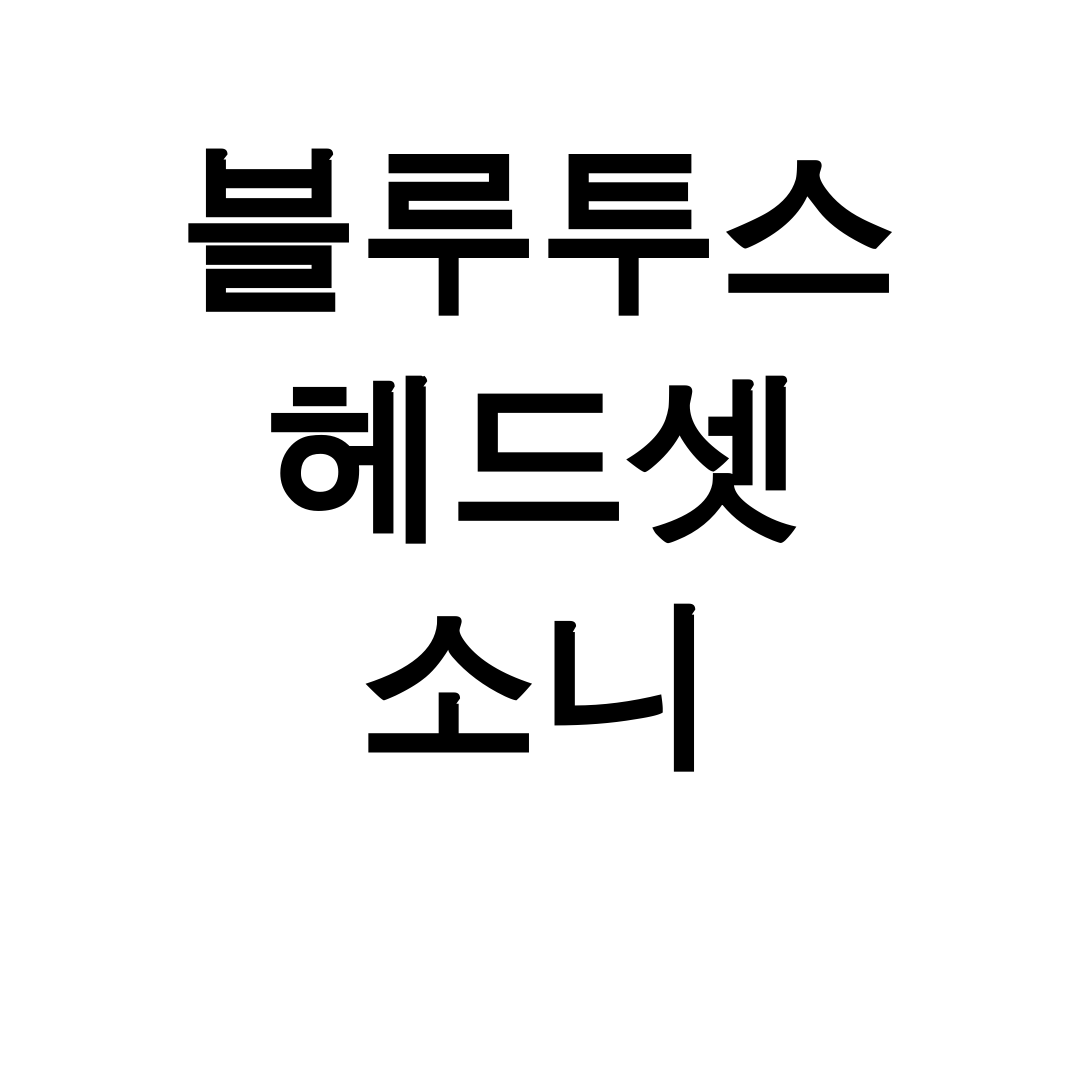 블루투스 헤드셋 소니