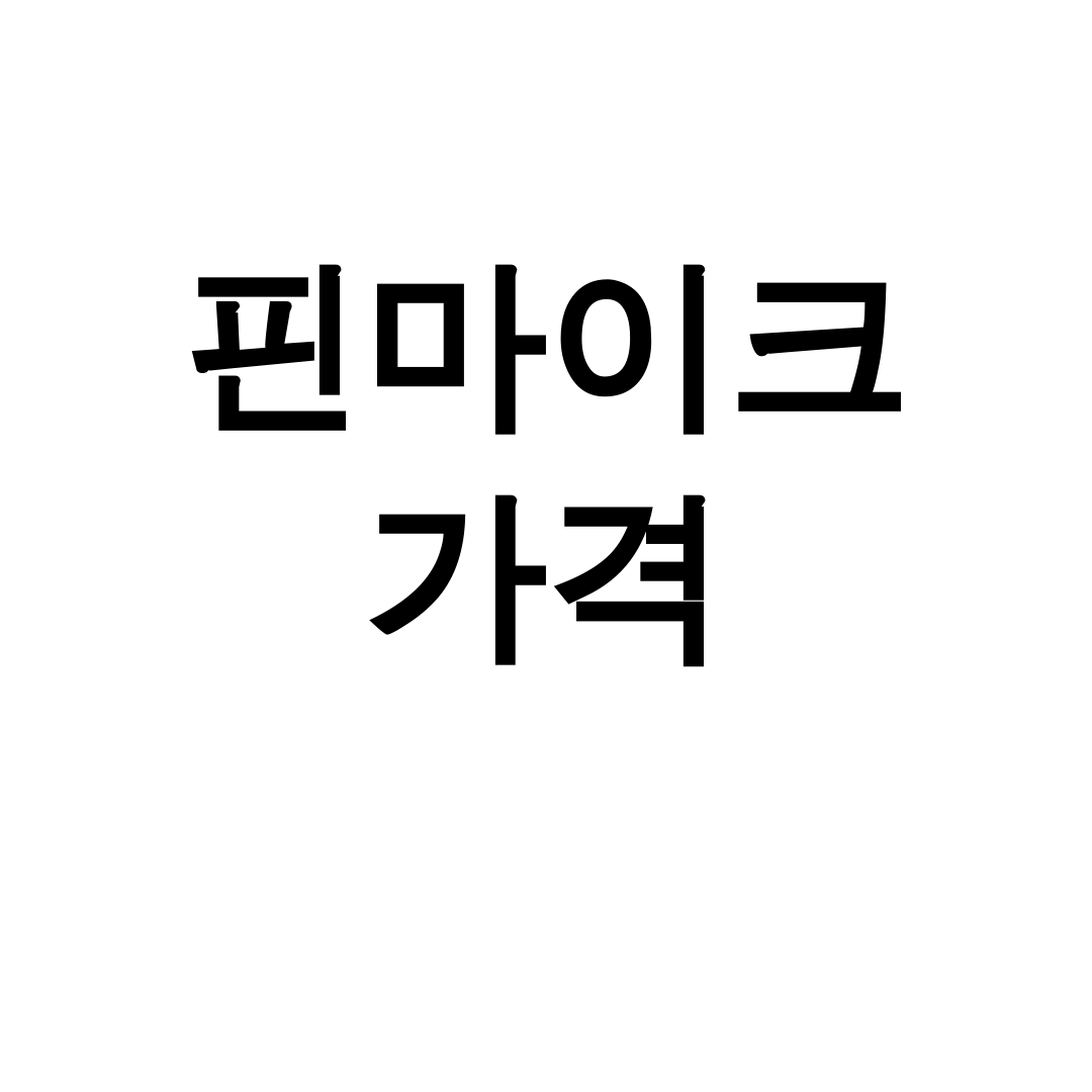핀마이크 가격