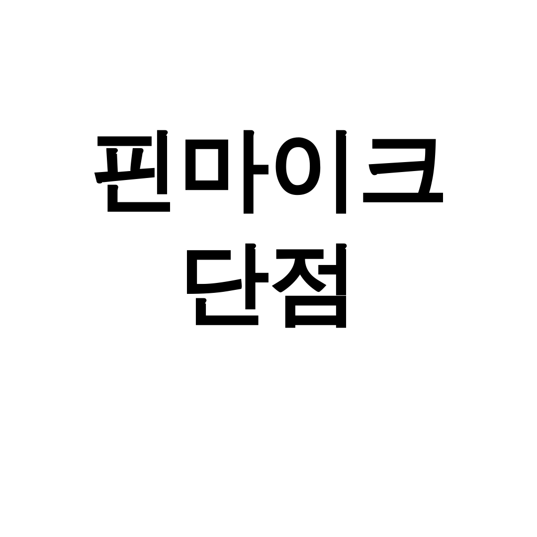 핀마이크 단점